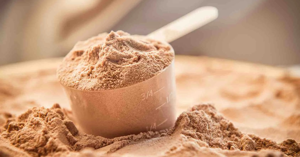 Hemp Seed Protein Powder: The Best Vegan Source of Protein!