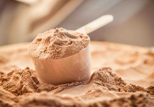 Hemp Seed Protein Powder: The Best Vegan Source of Protein!
