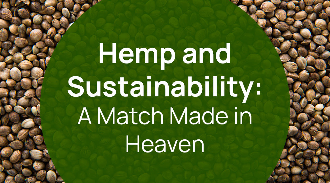 Hemp and Sustainability: A Match Made in Heaven