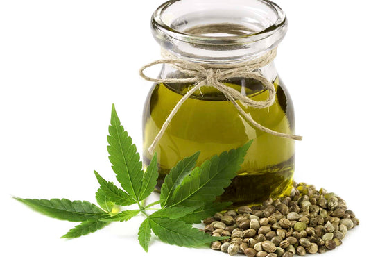 Hemp Seed Oil: Unveiling a Nutritional Champion for the Indian Kitchen