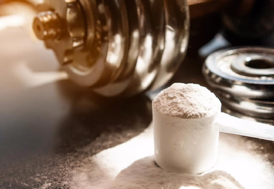 Beyond the Shake: 5 Amazing Recipes to use the Hemp Seed Protein Powder!